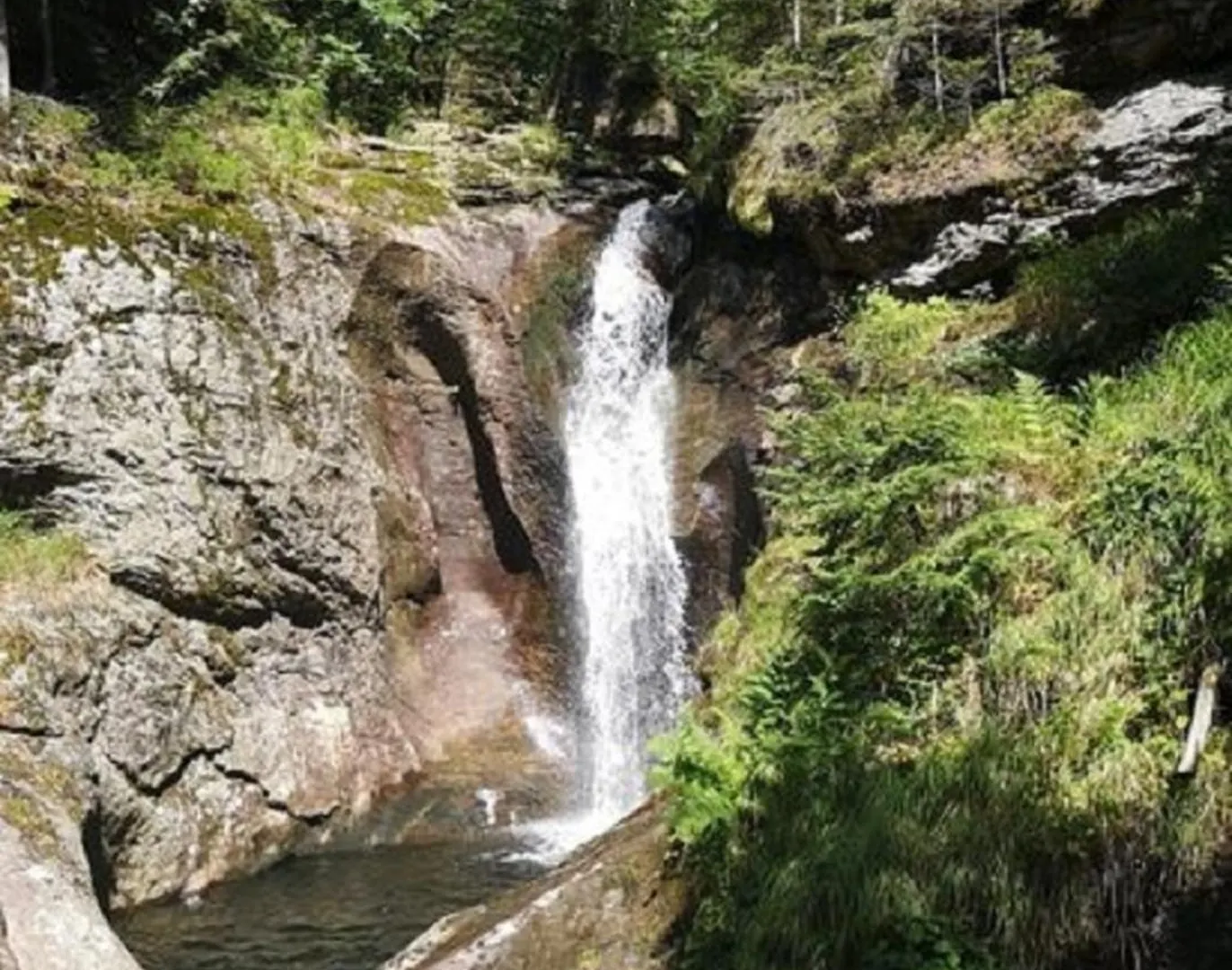Ferienland Sonnenwald Studio 50 Schofweg 0*,